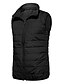 cheap Men&#039;s Downs &amp; Parkas-Men&#039;s Puffer Vest Gilet Daily Going out Plain Outerwear Clothing Apparel Casual Black Red Navy Blue