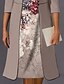 cheap Dress Sets-Women&#039;s Dress Set Two Piece Dress Midi Dress Gray 3/4 Length Sleeve Floral Layered Print Fall Winter U Neck Modern Mature 2022 S M L XL XXL 3XL