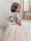 cheap Flower Girl Dresses-Ball Gown Floor Length Flower Girl Dress Birthday Girls Cute Prom Dress Satin with Lace Mini Bridal Fit 3-16 Years