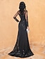 Χαμηλού Κόστους Βραδινά Φορέματα-γοργόνα μαύρο φόρεμα βραδινό φόρεμα κομψό φόρεμα επίσημο αποκριάτικο σκούπισμα / τρένο με πινέλο μακρυμάνικο κόσμημα στο λαιμό δαντέλα με κέντημα με χάντρες 2024