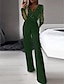 voordelige formele jumpsuits-dames jumpsuit mesh pailletten effen kleur v-hals elegant feest prom regular fit lange mouw zwart sml lente