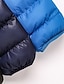 cheap Men&#039;s Downs &amp; Parkas-Men&#039;s Puffer Jacket Winter Jacket Winter Coat Windproof Warm Hiking Quilted Outerwear Clothing Apparel Black Blue Burgundy