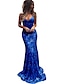cheap Prom Dresses-Mermaid / Trumpet Prom Dresses Sparkle &amp; Shine Dress Formal Wedding Guest Sweep / Brush Train Sleeveless V Neck Lace with Sequin 2024