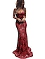 cheap Prom Dresses-Mermaid / Trumpet Prom Dresses Sparkle &amp; Shine Dress Formal Wedding Guest Sweep / Brush Train Sleeveless V Neck Lace with Sequin 2024