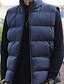 cheap Men&#039;s Downs &amp; Parkas-Men&#039;s Puffer Vest Winter Jacket Winter Coat Windproof Warm Casual Camping &amp; Hiking Solid / Plain Color Outerwear Clothing Apparel Black Red Blue