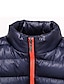 cheap Men&#039;s Downs &amp; Parkas-Men&#039;s Coat Parka Outdoor Casual Date Casual Daily Office &amp; Career Quilted Outerwear Clothing Apparel Black Blue Burgundy / Winter