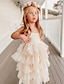 preiswerte Kleider für die Blumenmädchen-Prinzessin Boden-Länge Blumenmädchenkleid Erstkommunion Süßes Ballkleid Baumwollmischung mit Spitze Gestuft Ballettröckchen Fit 3-16 Jahre