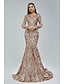 cheap Evening Dresses-Mermaid / Trumpet Evening Gown Elegant Dress Carnival Formal Court Train Long Sleeve V Neck African American Lace with Sequin 2024