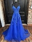 cheap Prom Dresses-A-Line Prom Dresses Open Back Dress Formal Prom Court Train Sleeveless V Neck Tulle Backless V Back with Beading Appliques 2024