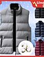 cheap Men&#039;s Downs &amp; Parkas-Men&#039;s Puffer Vest Winter Jacket Winter Coat Windproof Warm Casual Camping &amp; Hiking Solid / Plain Color Outerwear Clothing Apparel Black Red Blue
