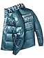 cheap Men&#039;s Downs &amp; Parkas-Men&#039;s Cardigan Parka Print Pocket Zipper Pocket Date Going out To-Go Outdoor Casual / Daily Winter Letter Silver Dark Grey Puffer Jacket