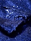 お買い得  メンズブレザー-男性用 カクテルの服装 ブレザー 新年 式典 パーティー ファッション ストリートファッション 秋冬 スパンコール ピュアカラー スパンコール ポケット 高通気性 快適 シングルブレスト 一つボタン ブレザー シルバー ブラック ワイン ロイヤルブルー