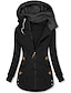 cheap Hoodie Jacket-Women&#039;s Winter Jacket Hoodie Jacket Comfortable Street Casual Daily Casual Daily Patchwork Zipper Pocket Zipper Hoodie Casual Street Style Color Block Regular Fit Outerwear Long Sleeve Winter Fall