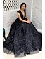 Χαμηλού Κόστους Φορέματα Δεκάτων Πέμπτων Γενεθλίων-Βραδινή τουαλέτα Γραμμή Α Φορέματα χορού Φανταχτερό Φόρεμα Επίσημο Ουρά Αμάνικο Λαιμόκοψη V Τούλι Εξώπλατο με Πλισέ 2023