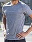 abordables T-shirts décontractés pour hommes-Homme Chemises évacuant l&#039;humidité T-shirt Chemise musclée Plein Col Ras du Cou Sport &amp; Loisir Plein Air Manches courtes Séchage rapide Vêtement Tenue Sportif Mode Entraînement