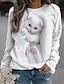 cheap Women&#039;s Hoodies &amp; Sweatshirts-Women&#039;s Sweatshirt Pullover Cat Street Casual White Sports Basic Round Neck Long Sleeve Top Micro-elastic Fall &amp; Winter