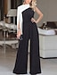cheap Evening Dresses-Jumpsuits Evening Gown Casual Dress Wedding Guest Party Wear Floor Length Long Sleeve One Shoulder Stretch Fabric with Pleats 2024