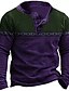abordables sweats à capuche 3d pour hommes-Homme Sweat shirt Sweat Bleu Violet Vert Café Col Henley Bloc de couleur Style Bohème Imprimés Photos Imprimer Casual du quotidien Des sports 3D effet basique Vêtement de rue Design Printemps