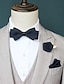 זול אביזרים לגברים-עניבת פרפר בסיסית לגברים בצבע אחיד שחור צהוב יין 2024