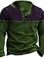 abordables sweats à capuche 3d pour hommes-Homme Sweat shirt Sweat Bleu Violet Vert Café Col Henley Bloc de couleur Style Bohème Imprimés Photos Imprimer Casual du quotidien Des sports 3D effet basique Vêtement de rue Design Printemps