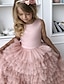 Χαμηλού Κόστους Λουλουδάτα φορέματα για κορίτσια-Πριγκίπισσα Ουρά Φόρεμα για Κοριτσάκι Λουλουδιών Κουινσανέρα Κορίτσια Χαριτωμένο φόρεμα χορού Σατέν με Φιόγκος(οι) Ανοικτή Πλάτη Σε επίπεδα Κατάλληλο 3-16 ετών