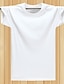 abordables T-shirts décontractés pour hommes-Homme T shirt Tee Couleur unie / unie Col Rond Casual du quotidien Manche Courte Couleur unie Vêtement Tenue basique Coton Extérieur Décontractées