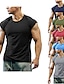 billiga Gym-toppar-Herr T-shirt Fuktavledande skjortor Slät Rund hals Ledigt Helgdag Kortärmad Kläder Sport Mode Lättvikt Muskel