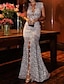 ieftine Rochii de Seară-rochie de petrecere sirenă sexy logodnă florală rochie de seară formală cu decolteu în V fără mâneci dantelă cu trenă cu perie 2022