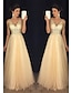 Χαμηλού Κόστους Φορέματα Χορού Αποφοίτησης-Γραμμή Α Φορέματα χορού Φανταχτερό Φόρεμα Επίσημο Επισκέπτης γάμου Μακρύ Αμάνικο Λαιμόκοψη V Τούλι V Πίσω με Χάντρες Διακοσμητικά Επιράμματα 2024