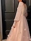 זול שמלות נשף-גזרת A שמלות נשף מקסי שמלה אורחת חתונה יום הולדת 16 עד הריצפה שרוול ארוך סקופ צוואר טול עם אפליקציות פרפר 2024