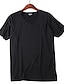 abordables T-shirts décontractés pour hommes-Homme T shirt Tee Couleur unie / unie Col V Casual du quotidien Manche Courte Vêtement Tenue Sans couture basique Décontractées Flexible