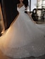 cheap Prom Dresses-Ball Gown Prom Dresses Glittering Dress Wedding Party Birthday Court Train Sleeveless Spaghetti Strap Tulle with Sequin 2024
