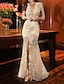 cheap Evening Dresses-Mermaid / Trumpet Evening Gown Sexy Dress Formal Wedding Guest Sweep / Brush Train Long Sleeve V Neck Fall Wedding Reception Lace with Slit Appliques 2024