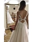 cheap Wedding Dresses-Beach Open Back Sexy Wedding Dresses A-Line V Neck Sleeveless Court Train Lace Bridal Gowns With Appliques 2024