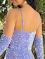 cheap Prom Dresses-A-Line Prom Dresses Party Dress Formal Party Wear Floor Length Sleeveless V Neck Sequined with Pleats Sequin 2024