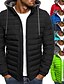 cheap Basic Hoodie Sweatshirts-Men&#039;s Winter Jacket Puffer Jacket Winter Coat Down Warm Outdoor Daily Color Block Outerwear Clothing Apparel Casual Lake blue Green Royal Blue / Quilted / Long Sleeve