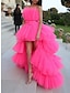cheap Prom Dresses-Ball Gown Prom Dresses Tiered Plisse Dress Wedding Party Birthday Asymmetrical Sleeveless Strapless Tulle with Bow(s) 2024