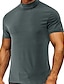 abordables T-shirts décontractés pour hommes-Homme Chemise à col roulé Plaine / Solide Col Roulé du quotidien Des sports Manches courtes Vêtement Tenue mode Casual Quotidien Moderne contemporain