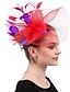 cheap Fascinators-Fascinators Polyester Tea Party Kentucky Derby Horse Race Ladies Day Vintage Classical Handmade With Feather Tulle Headpiece Headwear