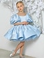 cheap Party Dresses-Kids Girls&#039; Dress Solid Colored Short Sleeve Wedding Party Ruched Mesh Puff Sleeve Cute Sweet Polyester Above Knee A Line Dress Tulle Dress Flower Girl&#039;s Dress Summer Spring 3-12 Years Mint color