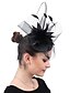 cheap Fascinators-Fascinators Straw Tea Party Kentucky Derby Horse Race Ladies Day Vintage Elegant Retro With Feather Tulle Headpiece Headwear