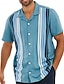Χαμηλού Κόστους Ανδρικά πουκάμισα μπόουλινγκ-Ανδρικά Πουκάμισο Πουκάμισο μπόουλινγκ Πουκάμισο με κουμπιά Καλοκαιρινό πουκάμισο Casual πουκάμισο Θαλασσί Κοντομάνικο Ριγέ Απορρίπτω Διακοπές Εξόδου Ρούχα Στυλάτο Δεκαετία του 1950