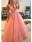 cheap Prom Dresses-A-Line Prom Dresses Open Back Dress Formal Wedding Guest Floor Length Sleeveless V Neck Tulle Backless with Pleats Beading Appliques 2024