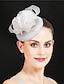 cheap Fascinators-Fascinators Sinamay Wedding Tea Party Kentucky Derby Horse Race Ladies Day Vintage Elegant Retro With Feather Floral Headpiece Headwear
