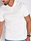 abordables polo clásico-Hombre POLO Camiseta de golf Cuello de polo Verano Manga Corta Vino Negro Blanco Plano Exterior Diario Ropa