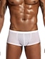voordelige Comfortabel herenondergoed-Voor heren 2 pakken Boxer Polyester Ademend Zacht Effen Medium Taille Zwart Wit