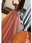 cheap Prom Dresses-A-Line Prom Dresses Open Back Dress Formal Wedding Guest Floor Length Sleeveless V Neck Tulle Backless with Pleats Beading Appliques 2024