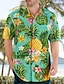 preiswerte Herrenhemden in großen Größen-Herren Hemd Hawaiihemd Sommerhemd Grafik-Shirt Aloha-Shirt Blumen Ananas Frosch Umlegekragen Olivgrün Rot grün Rosa Rote Blau 3D-Druck Outdoor Strasse Kurzarm Button-Down Bekleidung Hawaiianisch