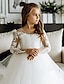 cheap Flower Girl Dresses-Princess Sweep / Brush Train Flower Girl Dress First Communion Girls Cute Prom Dress Tulle with Appliques Royal Style Fit 3-16 Years