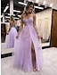 cheap Evening Dresses-A-Line Evening Gown Open Back Dress Formal Prom Floor Length Sleeveless V Neck Tulle Backless with Beading Slit Appliques 2024